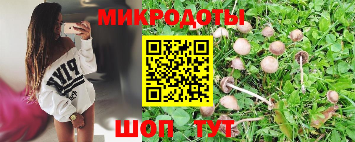 Псилоцибиновые грибы мицелий Серпухов